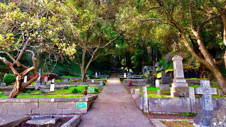 Weathered grave stones line a path shaded by oaks and redwoods at Evergreen Cemetery in Santa Cruz.