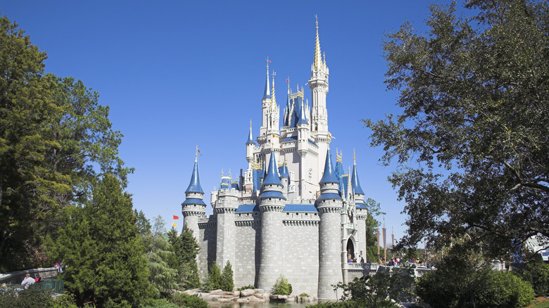 Disney World castle surrounded by trees