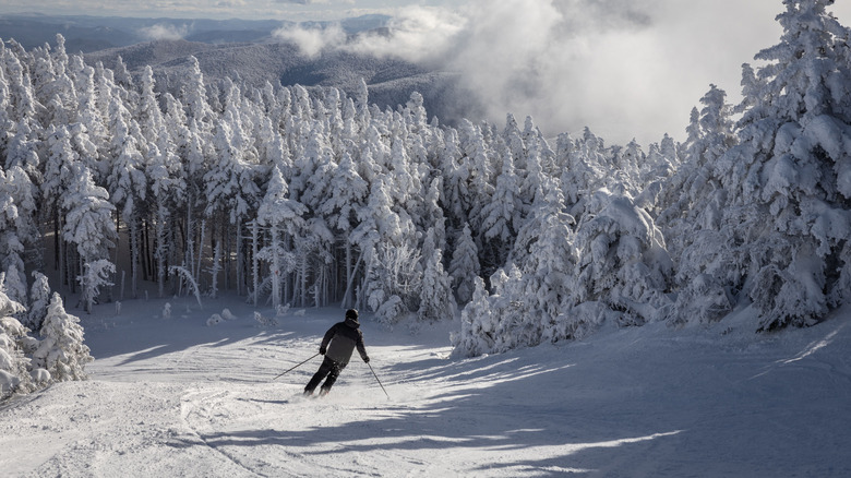 Skier turns between trees in Vermont ski resort