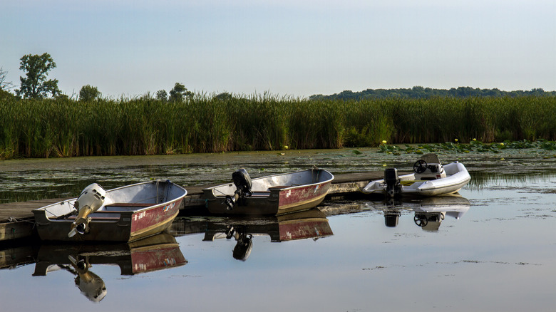 Three boats on Chain O'Lakes at dawn in Illinois