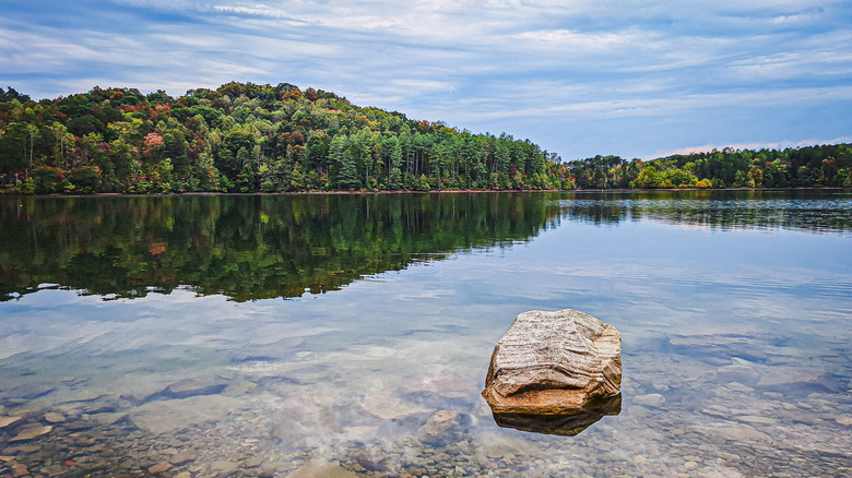 the forested shoreline reflected in the crystal clear water of Paintsville Lake in Kentucky