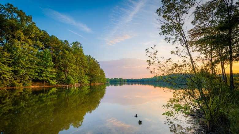 the calm water and tree-covered shore of Lake Norman during sunset