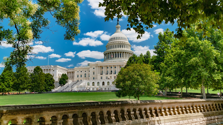 The Capitol building is framed in leafy trees on a bright summer day in Washington, D.C.