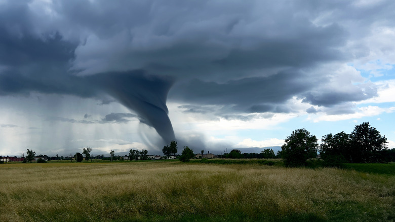 A tornado touches down in rural grasslands studded with trees and houses