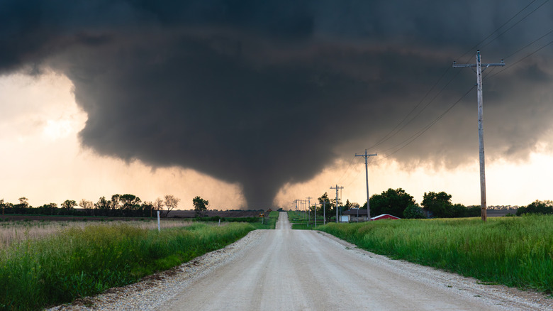 A road stretches toward a tornado on the horizon in a rural community