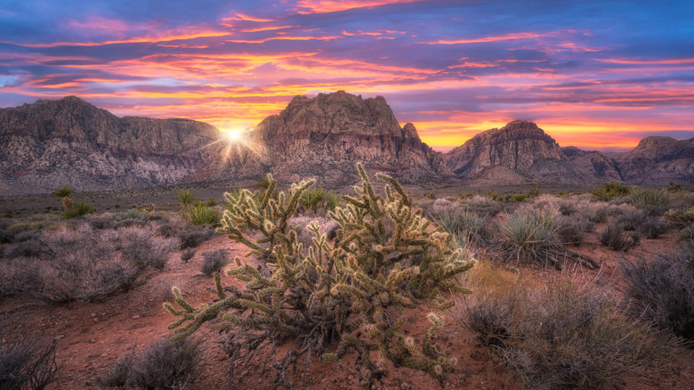 The sun rises over cragged hills and scattered desert flora in rural Nevada