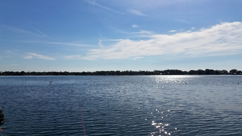 a fishing rod casts into the clean waters of Lake Conway, as sunlight reflects off the ripples
