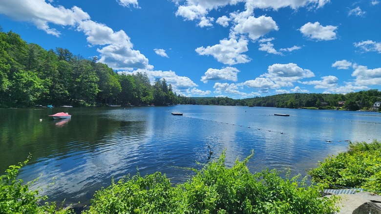 a large lake sits under bright blue skies with spots of clouds overhead; a square swimming area is cordoned off by ropes with floating docks sitting at the outer corners; green woods line the shores