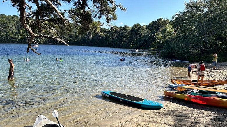 multi-colored kayaks and paddleboards line a pond's shores with shallow clear blue waters extending out; a densely wooded forest lines the pond's shoreline