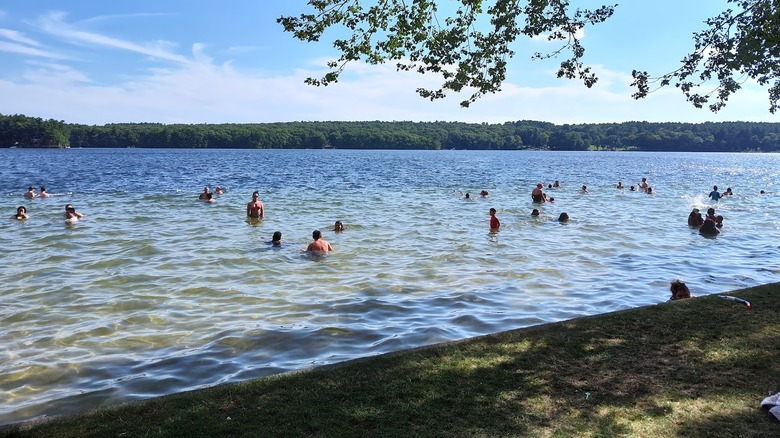 swimmers wade in shallow clear waters off the shore of breezy picnic grounds