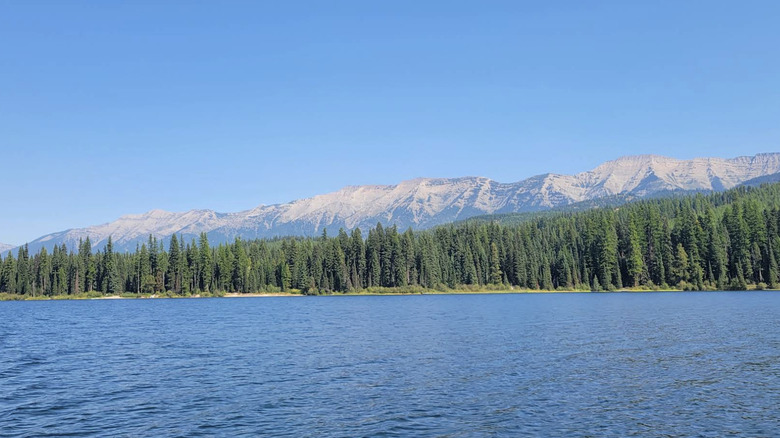 Scenic shoreline of Alva Lake, Lolo National Forest, Montana