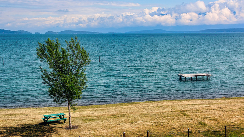 A sandy area with a picnic table at Flathead Lake shoreline in Montana