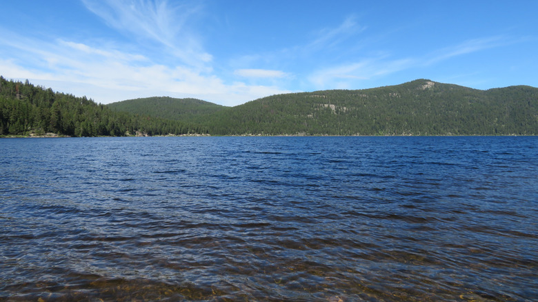 Calm ripples and forested shoreline in Tally Lake, Montana