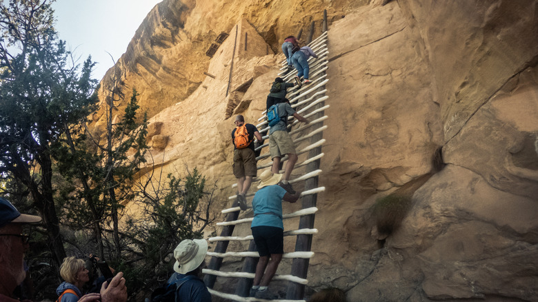 People climbing a ladder at Mesa Verde National Park in Colorado