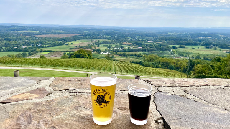 A light and dark beer sitting on a stone ledge in front of scenic fields and trees