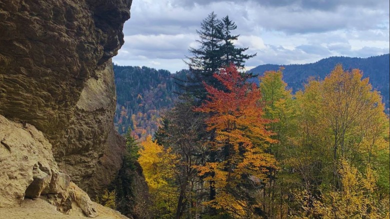 A rocky outcropping with fall colors cascading in trees just beyond and the peaks of the Great Smoky Mountains in the distance.