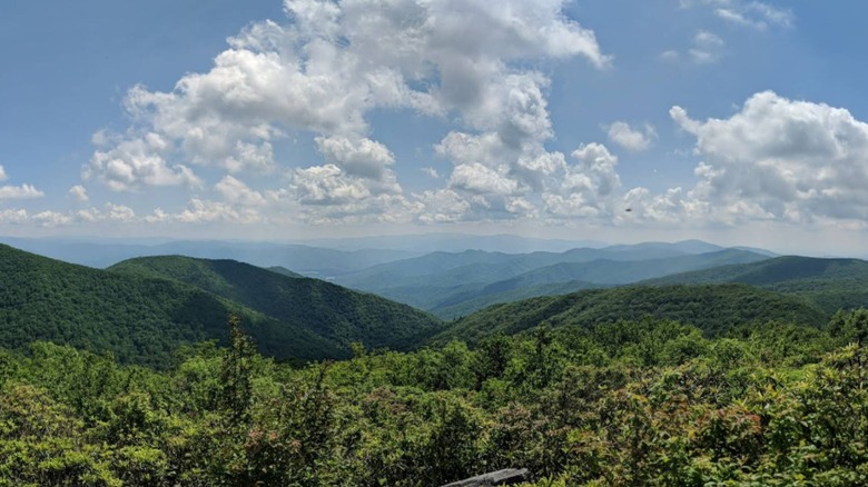 Green rolling mountains layer in the foreground and background at Great Smoky Mountains National Park from the Rocky Top viewpoint, with fluffy white clouds speckled throughout a light blue sky.
