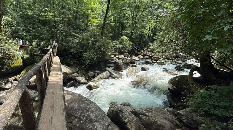 A narrow, log bridge guides over a babbling creek with boulders lining the ground and lush, green trees surrounding the landscape.