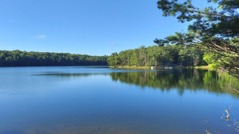 Lake Owen surrounded by a forest reflected in the water