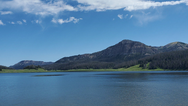 View of Brooks Lake with clear water and forested shoreline, Wyoming