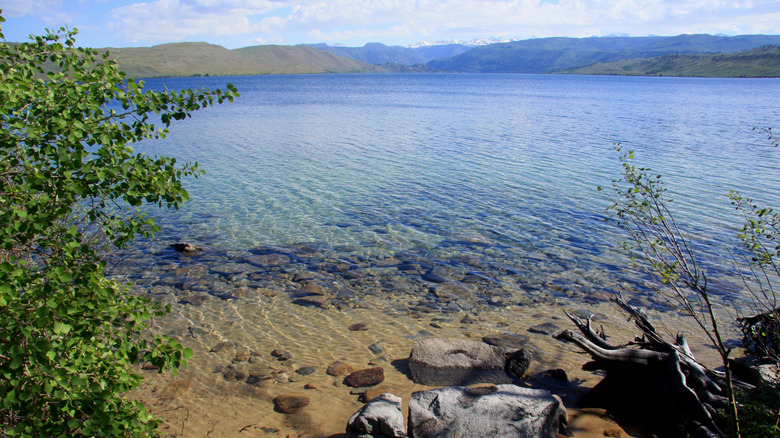 Clear waters of Fremont Lake, Wyoming's second-largest natural lake, near Pinedale