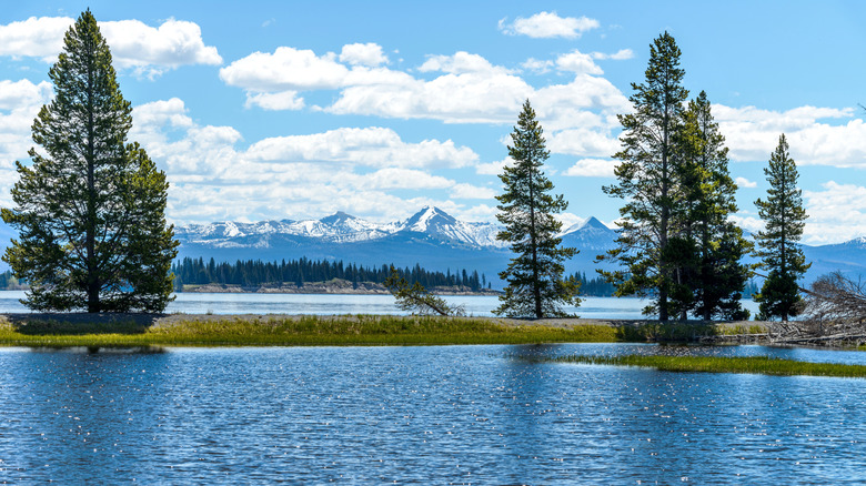 Spring view of Yellowstone Lake with snow-capped mountain range in the background, Yellowstone National Park, Wyoming