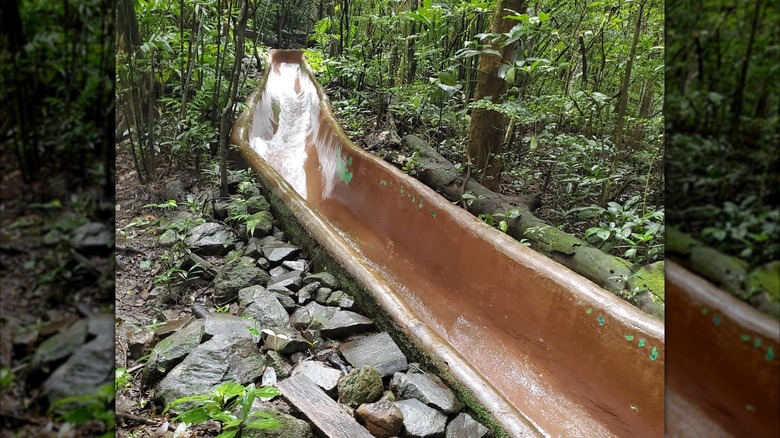 Water slide at Buena Vista Del Rincon in Costa Rica