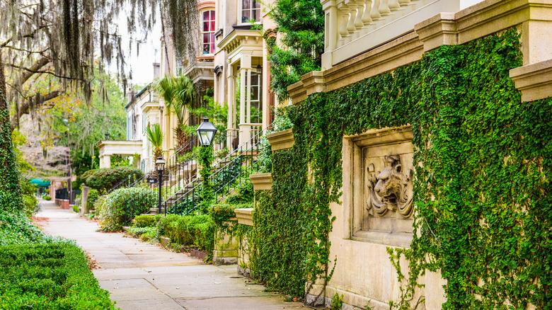 A historic street in Savannah, Georgia