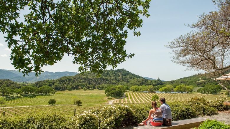 Verdant view of the Napa Valley lined with spring flowers