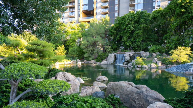 A serene garden in the Japanese Friendship Gardens, San Diego