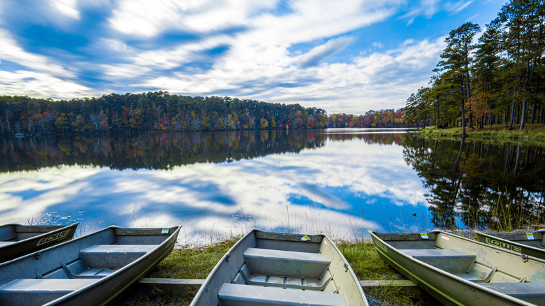 Rowboats with a lake and forest in Indian Springs State Park, Georgia