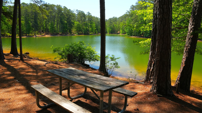 Lakeside scene at the campground in Red Top Mountain State Park Georgia