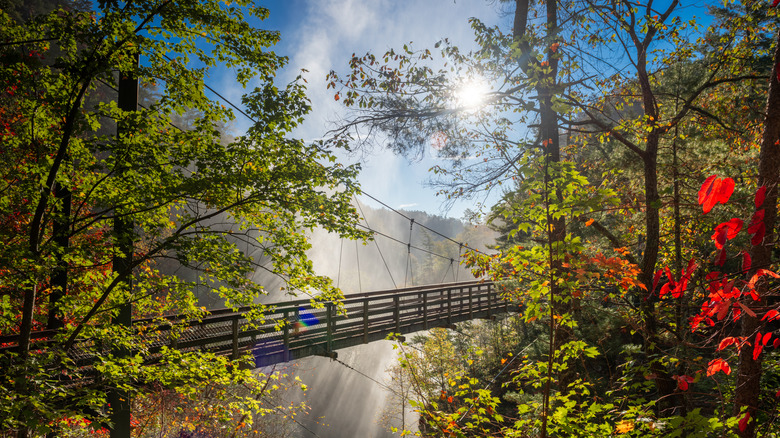 A bridge near Tallulah Falls, Georgia, USA overlooking Tallulah Gorge in the autumn season