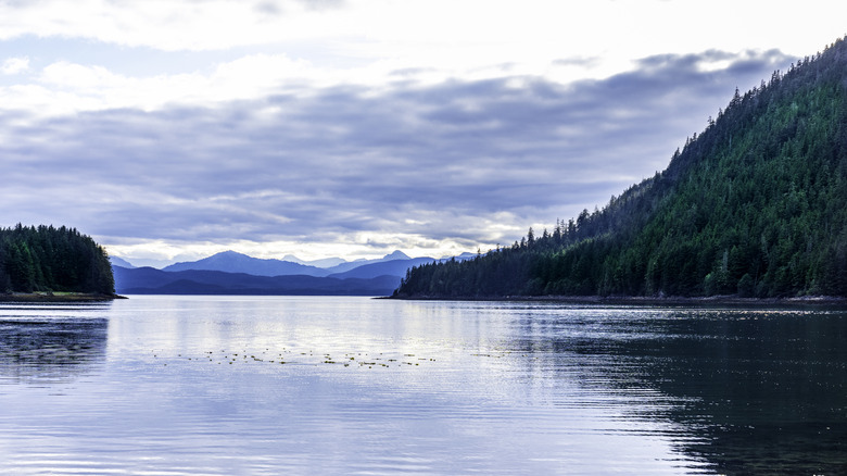 Dense temperate rainforest meets the rugged shoreline of Cannery Cove, Admiralty Island, Alaska