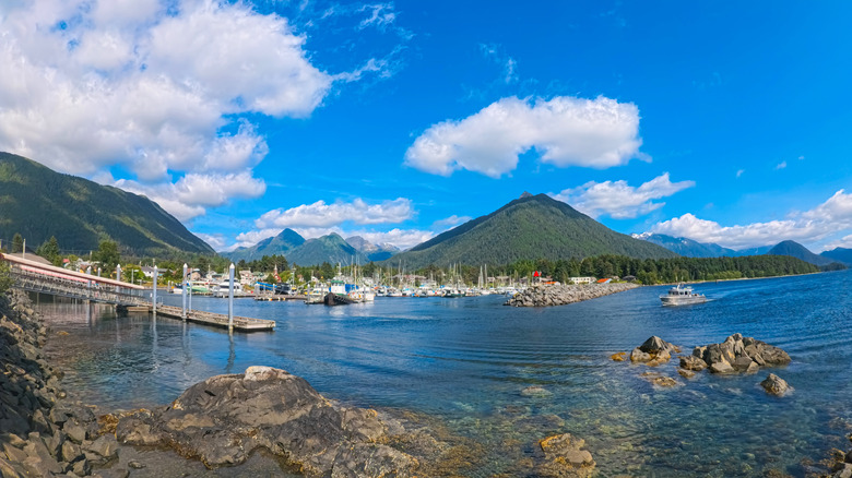 View of Sitka Harbor with docks filled with boats