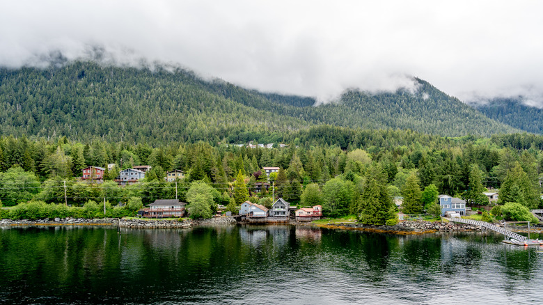 Colorful buildings dot the tree-line in Ketchikan on Prince of Wales Island, Alaska
