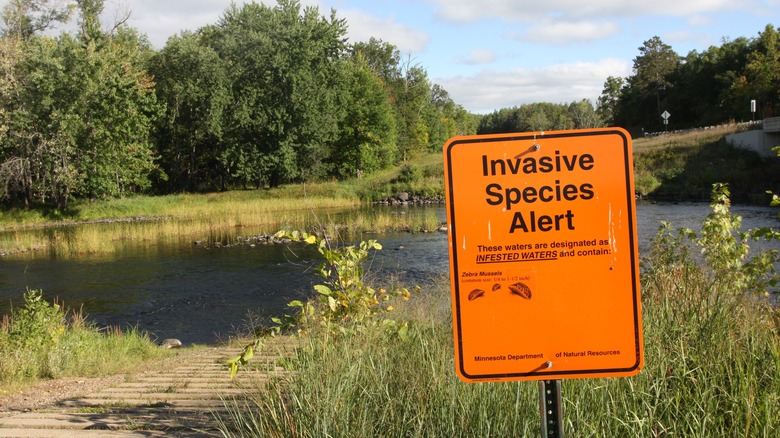 Orange sign warning of invasive species in a nearby body of water