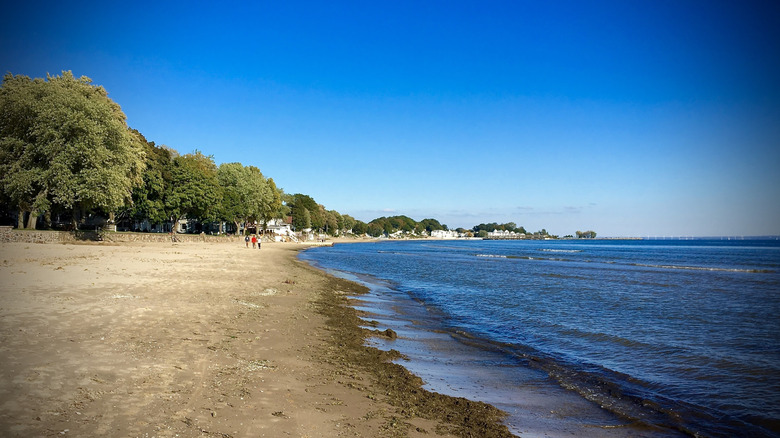 people walk on the white sands of Crystal Beach, Canada, on a clear day