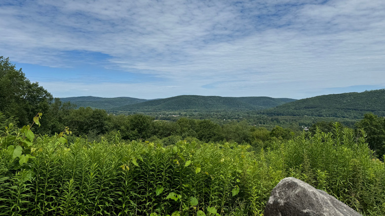 the gorgeous mountains in Ellicottville, used for biking in summer and skiing in winter