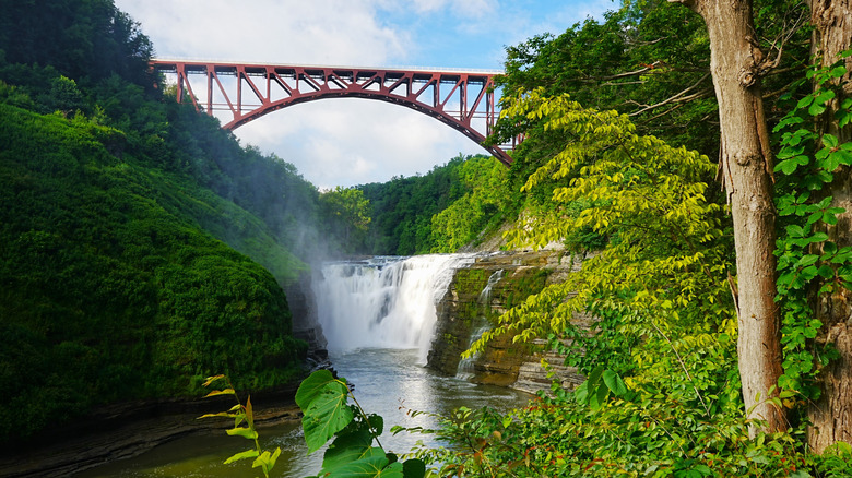 a bridge over a river and waterfall surrounded by greenery at Letchworth State Park