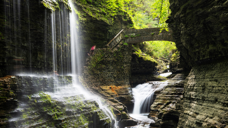 stunning waterfalls flow down deep gorges in Watkins Glen State Park