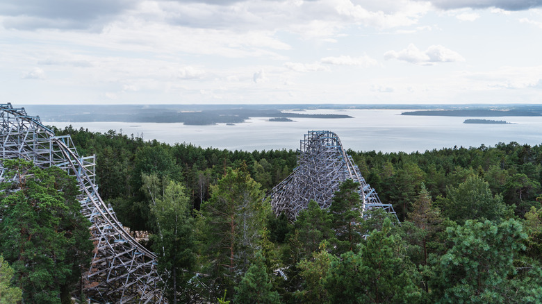 Wildfire roller coaster rising out of the forest in Sweden's Kolmarden Wildlife Park