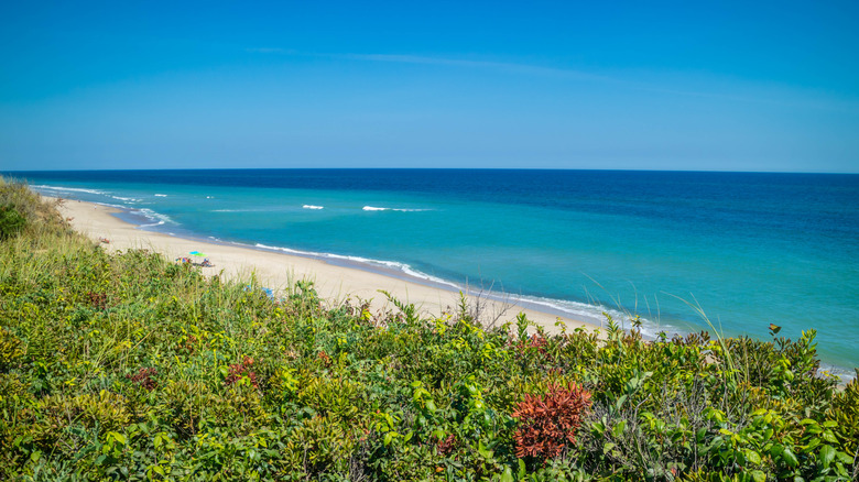Blue ocean with whitecap waves on a sunny day