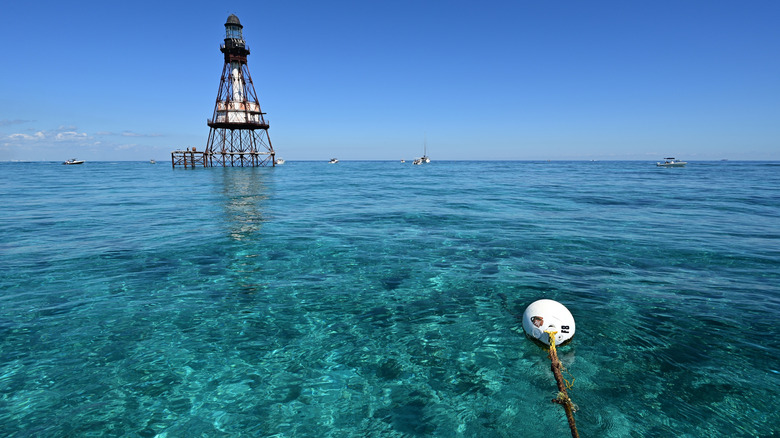 Lighthouse and buoy in water