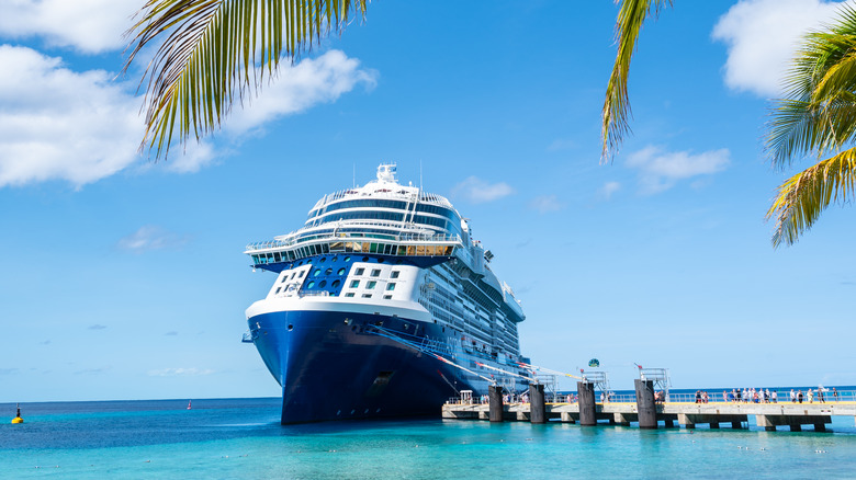 Celebrity Cruises ship in port in Turks and Caicos with palm leaf in foreground and brilliant blue water