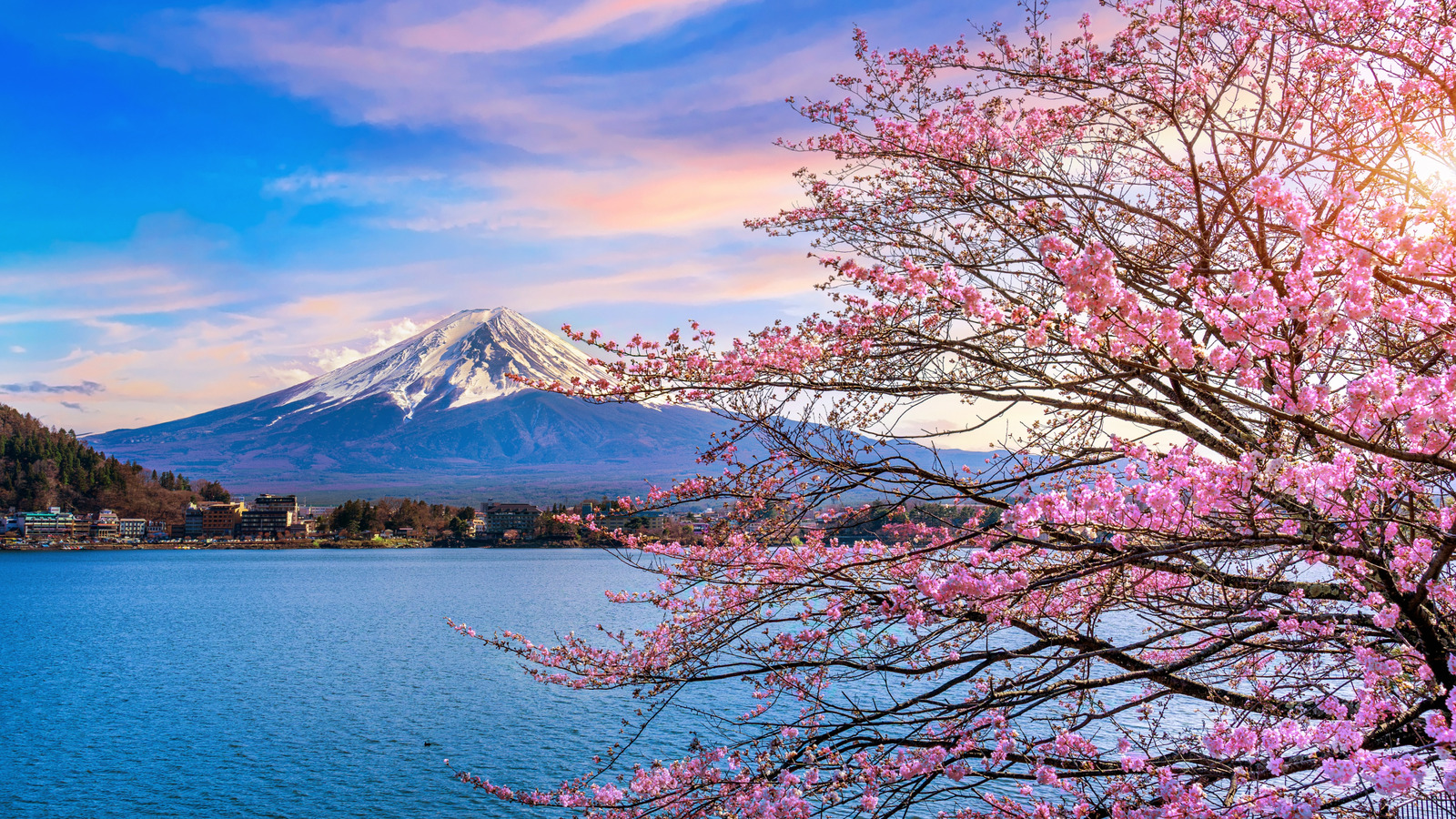 The Absolute Best Time Of Year To Visit Japan To See Cherry Blossoms