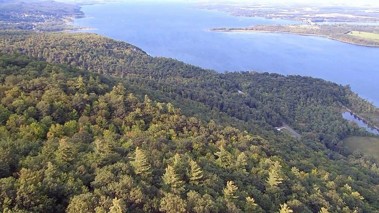 Forests and water near Coot Hill Trail