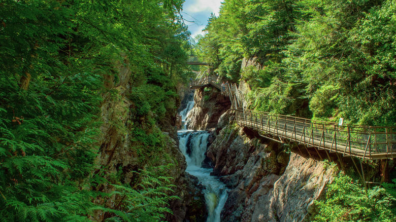 A wooden walkway built into the tree-covered cliffs above a waterfall at High Falls Gorge