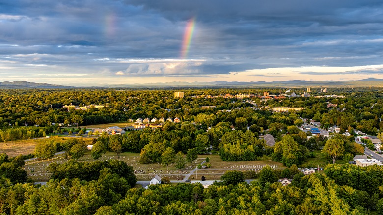 rainbow in cloudy sky over lush green trees and grass