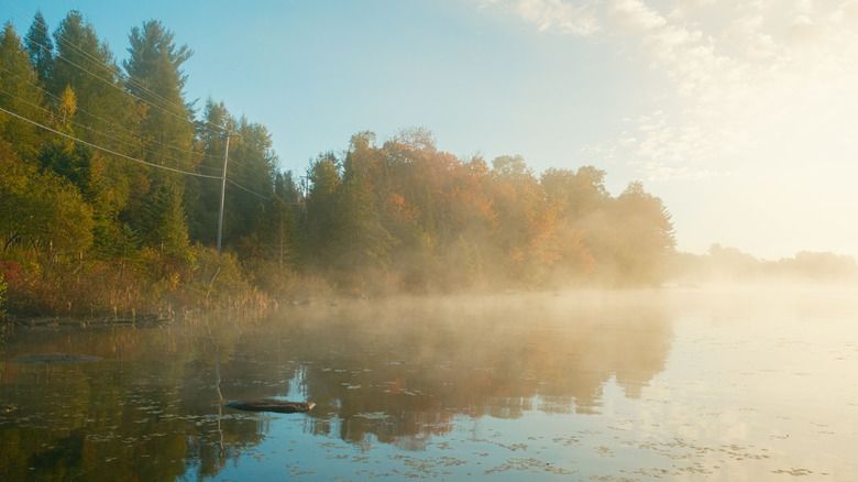 A foggy morning on cranberry Lake in the Adirondacks in New York